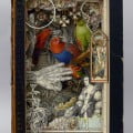 aviary